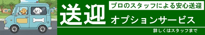 送迎オプションサービス